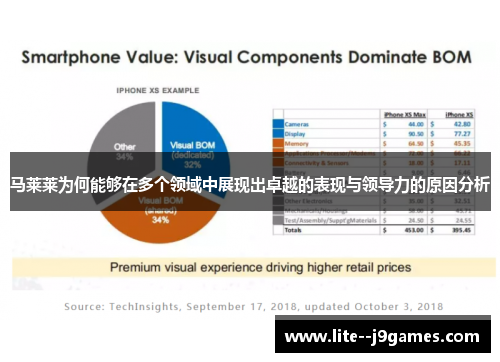 马莱莱为何能够在多个领域中展现出卓越的表现与领导力的原因分析